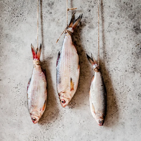 Salting Roaches, Handing to Dry and Salt through, square — Stock Image Salting Roaches Handing Dry Salt Square Royalty Free Stock Photos