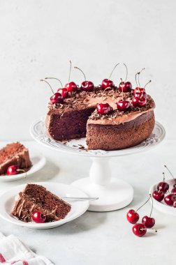 Çikolata talaşları ve tatlı kirazlarla süslenmiş dilimlenmiş çikolatalı pasta. Metnin için kopyalama alanı.