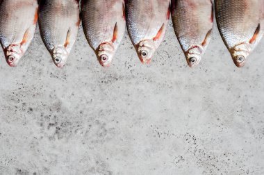 Nehir Balığı Arkaplanı, metin için alanı kopyala