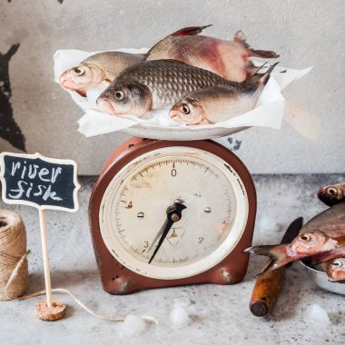 Balık Pazarı, Çeşitli Taze Su Nehri Balıkları, kare