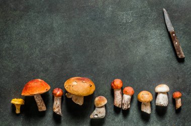 Desen, Chanterelles, Red Capped Boletes, Porcini gibi Vahşi Mushoomların Çeşitliliği, metin alanınız için kopyalama alanı