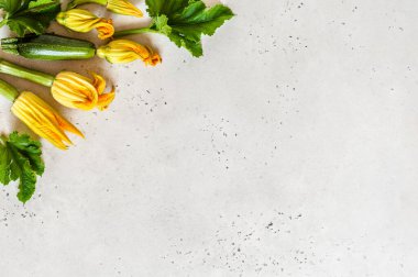 Çiçekler ve Yapraklar ile kabaklar, metin için boşluk kopyala