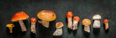 Desen, Chanterelles, Red Capped Boletes, Porcini, Bayrak Olarak Değişen Vahşi Mushooms