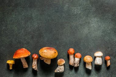 Desen, Chanterelles, Red Capped Boletes, Porcini gibi Vahşi Mushoomların Çeşitliliği, metin alanınız için kopyalama alanı
