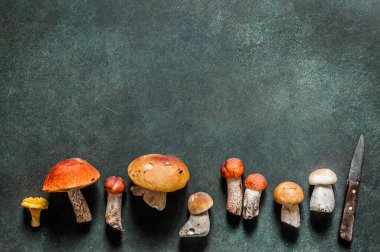 Desen, Chanterelles, Red Capped Boletes, Porcini gibi Vahşi Mushoomların Çeşitliliği, metin alanınız için kopyalama alanı