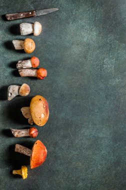 Desen, Chanterelles, Red Capped Boletes, Porcini gibi Vahşi Mushoomların Çeşitliliği, metin alanınız için kopyalama alanı