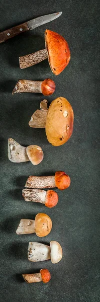 Variety Wild Mushooms Set Pattern Red Capped Boletes Porcini Banner — Stock fotografie