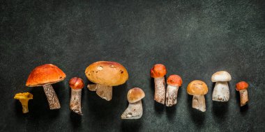 Desen, Chanterelles, Red Capped Boletes, Porcini, Bayrak Olarak Değişen Vahşi Mushooms