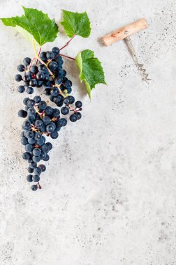 Bir demet siyah üzüm ve bir mantar vida, metin için boşluk kopyala