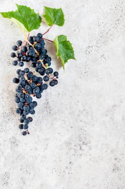 Yapraklı bir demet Siyah Üzüm, metin için boşluk kopyala