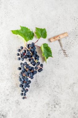 Bir demet siyah üzüm ve bir mantar vida, kare