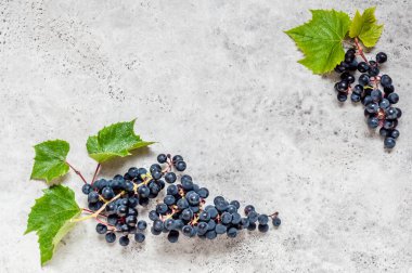 Yapraklı Kara Üzümler Bunches, metin için boşluk kopyala