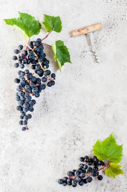 Kara Üzümler ve Mantar Vidası, metin için boşluk kopyala