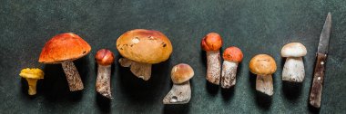 Desen, Chanterelles, Red Capped Boletes, Porcini, Bayrak Olarak Değişen Vahşi Mushooms