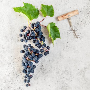 Bir demet siyah üzüm ve mantar vida.