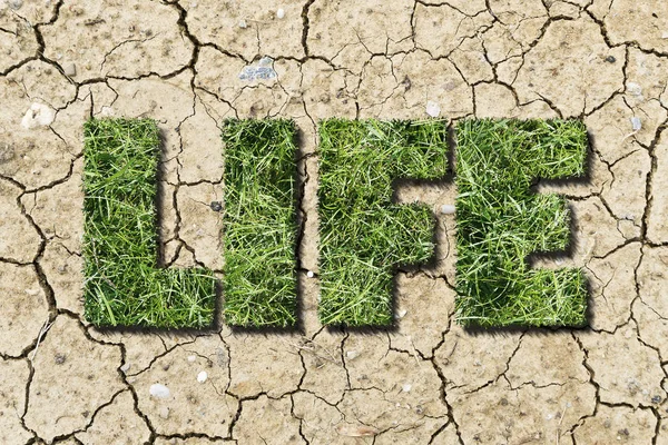 concept of a patch of green grass shaped as a word life growing out of dry patch of earth