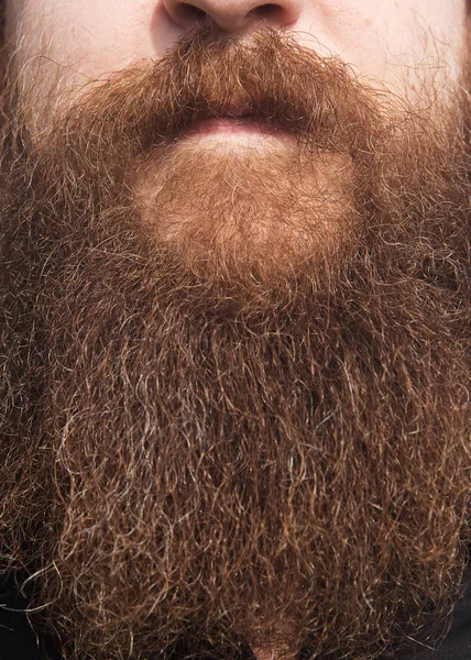 Primer Plano Una Cara Hombre Con Larga Barba Marrón Gruesa — Foto de Stock