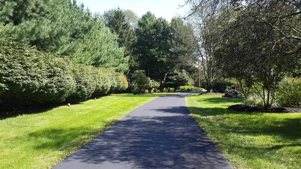 yürüyüş yolu, yol, kaplama mühür, sahne, yol yan, yol yürüme, uzun driveway, yeşil çim, 