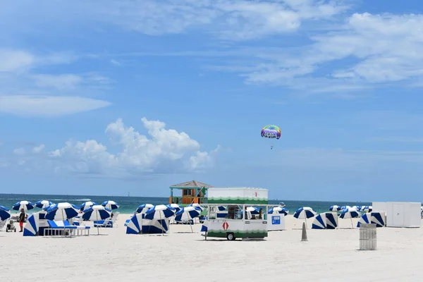 Palmy Florida Miami Beach — Zdjęcie stockowe