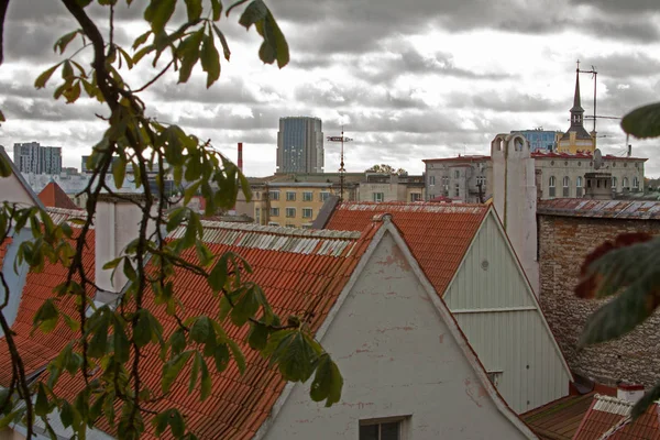 Tallin, Estonia vista de la ciudad vieja. Techos de tejas rojas, edificios históricos, atracciones turísticas de Europa . — Foto de Stock