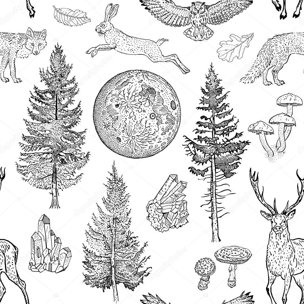 Full moon magic seamless pattern. Spruce, fir tree, mushrooms, fox, hare, deer, leaves, crystals. Hand drawn vintage tattoo engraving style vector illustration black on white. Nature, fantasy, boho.