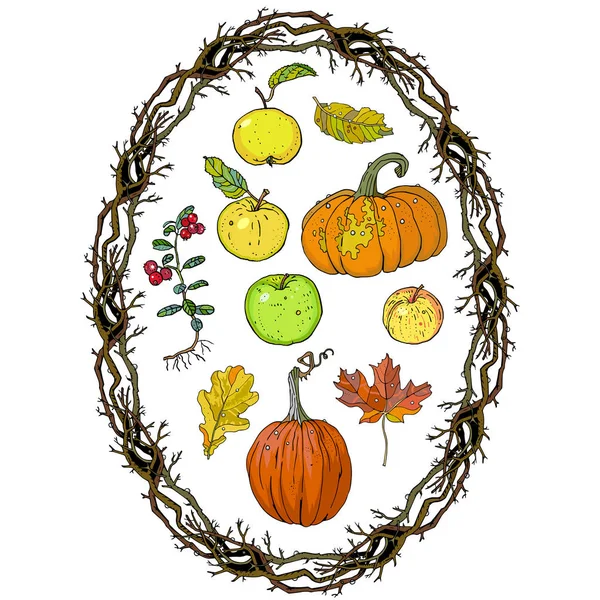 Autumn harvest clipart set: oval wreath branches frame, pumpkins, apples, lingonberry, oak, maple falling leaves. Fall seasonal decoration, coloring page. Hand drawn vector illustration. — Stock Vector