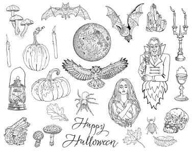 Cadılar Bayramı, sonbahar, sihir, Gotik, fantezi doodle simgeler, izole nesneleri, beyaz siyah. Kabak, mum, kadeh, sonbahar yaprakları, yarasa, örümcek, dolunay, fener, mantar, baykuş, kristal, vampir.