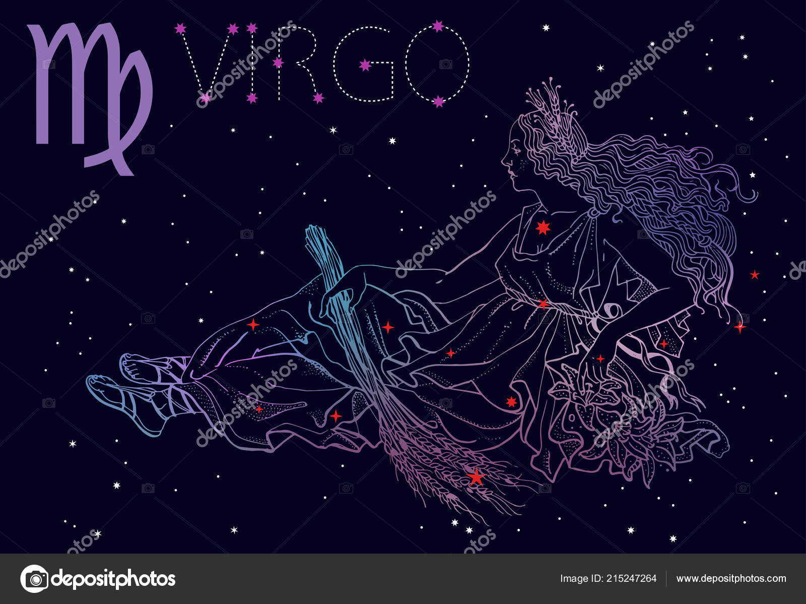 Virgo zodiac sign and constellation. Woman holding wheat ...