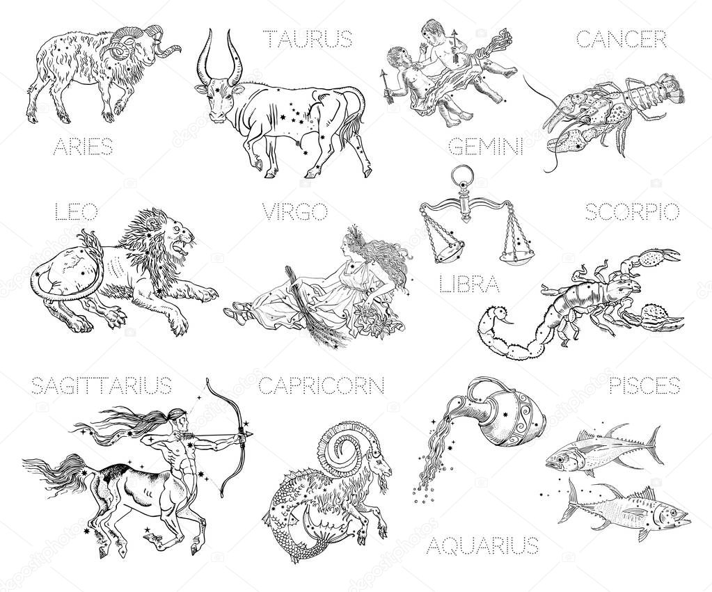 Constellations, zodiac signs, horoscope. Aries, Taurus, Gemini, Cancer, Leo, Virgo, Libra, Scorpio, Sagittarius, Capricorn, Aquarius, Pisces. Vintage engraving tattoo style drawings isolated on white.
