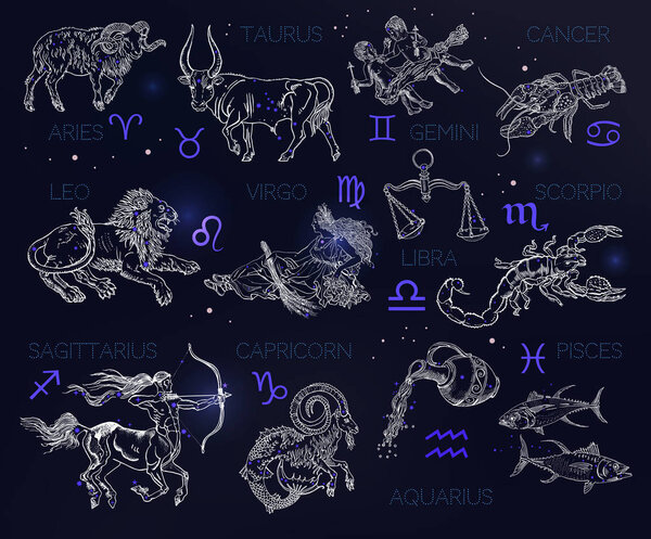 Constellations, zodiac signs, horoscope. Aries, Taurus, Gemini, Cancer, Leo, Virgo, Libra, Scorpio, Sagittarius, Capricorn, Aquarius, Pisces. Vintage engraving style symbols on a space background.