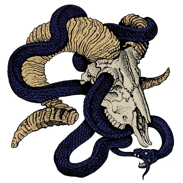 Мифологический Уроборос змея и козлиный череп. Векторная иллюстрация в стиле ручной гравировки. Наклейка, плакат, отпечаток футболки, дизайн татуировки. Рок, heavy metal music, gothic, felt, macabre concept . — стоковый вектор