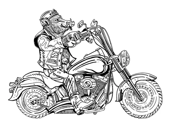Sanglier en moto. Un motard, un motard. Symbole de 2019 - année du cochon. Illustration de style gravure à la main. Sticker, poster, t-shirt imprimé, tatouage, coloriage. Rock, heavy metal . — Image vectorielle