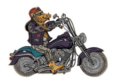 Wild boar on motorbike. Biker, motorcyclist. Symbol of 2019 - year of a pig. Retro style graphic illustration. Sticker, poster, t shirt print, tattoo. Rock music, heavy metal. clipart