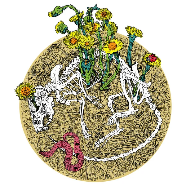Cirkel av liv och död. Coltsfoot blommor växa från en mus skelett. Symbol för vår och återfödelse. Gothic Pagan affisch, Tattoo design, t-shirt Print, musikalbum omslag. — Stock vektor