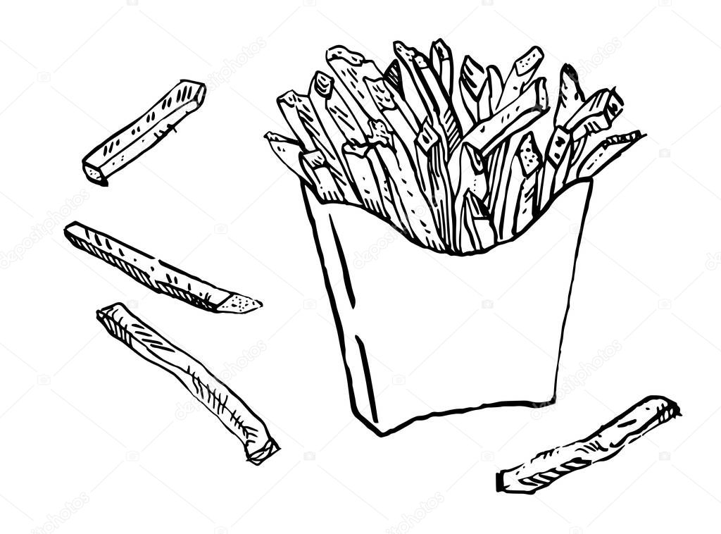 A pack of french fries. Hand drawn ink illustration. Line art isolated black on white. Menu, fast food, junk food.