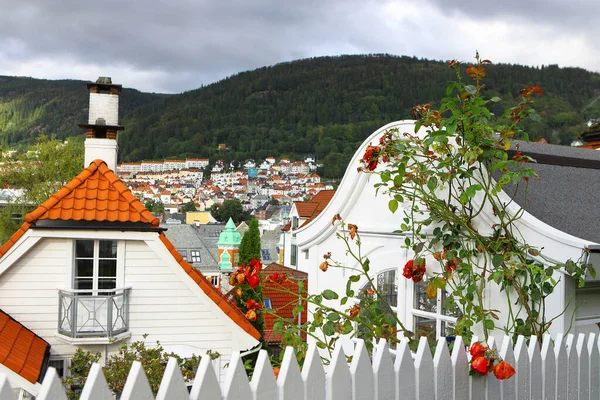 Hermosa vista de Bergen a finales del verano. Montañas, nubes, luz solar y sombras, casas tradicionales de madera con techos de azulejos, rosas en el jardín. Hordaland, Noruega . — Foto de Stock