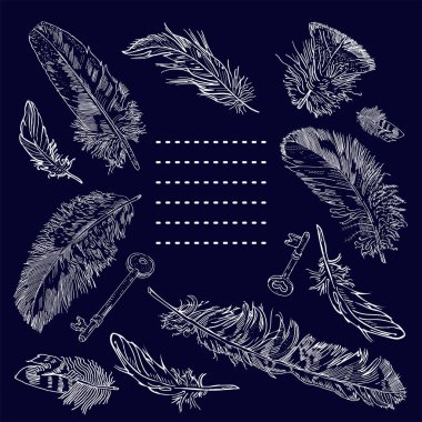 Elin dekoratif çerçevesi süzülen tüyler ve anahtarlar ile metin için bir alan çiziyor. Beyaz arka planda. Davetiye, kartpostal, tekstil tasarımı.