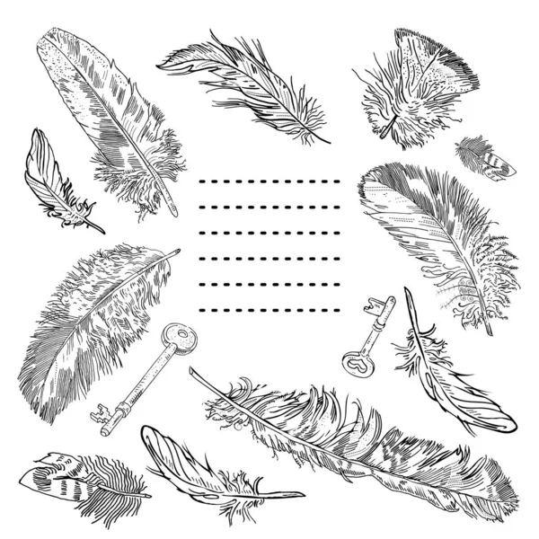 Cadre décoratif de plumes et clés montantes dessinées à la main avec un espace pour le texte. Invitation, carte postale, coloriage. — Image vectorielle