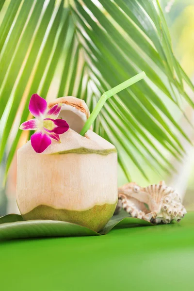 Tropical exótico fresco água de coco verde beber perto de palma com o — Fotografia de Stock