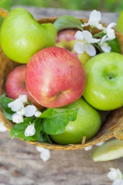 Manzanas Rojas Verdes Jugosas Dulces Frescas Con Flores Sobre Fondo — Foto de Stock
