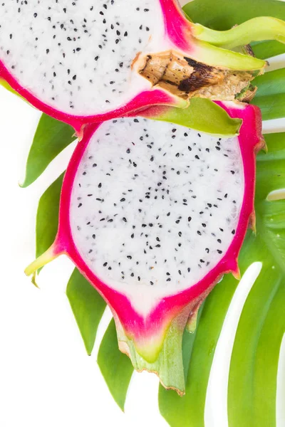 Asian Dragon Owoce Pitaya Monstera Liana Tło Winorośli — Zdjęcie stockowe