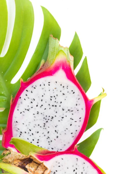 Asian Dragon Fruit Pitaya Monstera Liana Vine Background — Stock Photo, Image