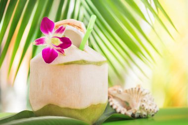 Tropikal egzotik taze yeşil Hindistan cevizi suyu içecek hurma ile o yakınındaki