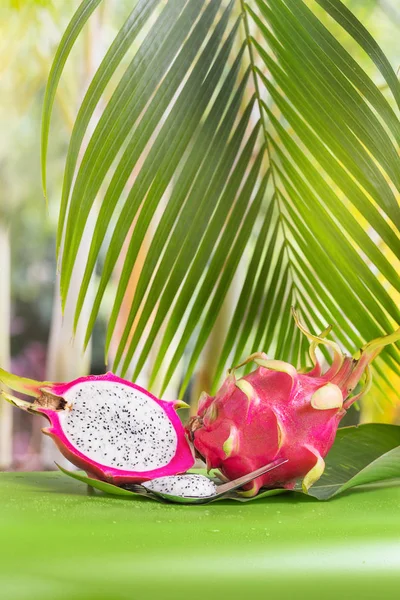 Fresco, saboroso trópico, exótico dragão pitahya dragão fruta perto de amigo — Fotografia de Stock