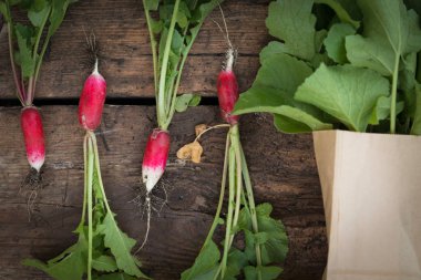 Natürmort taze turp sebze arka plan ağaç üzerinde kırpma