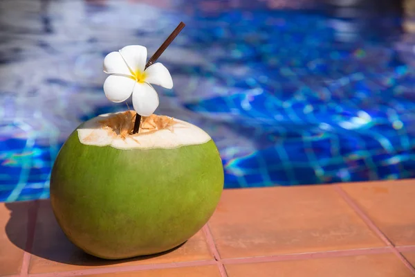 Sumo de coco fresco com palha e plumeria, flor de frangipani o — Fotografia de Stock