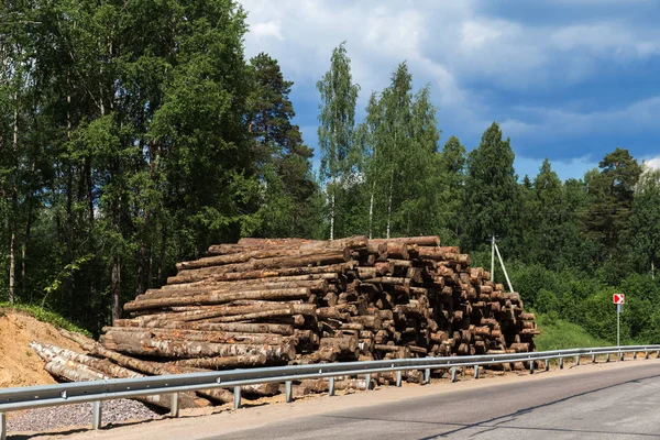 Lesní stromy odlesňování pro výstavbu nového města — Stock fotografie