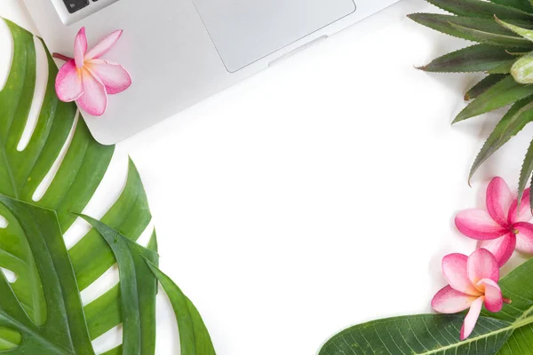 Tropische bovenaanzicht zomer botanische begrip stilleven laptop fra — Stockfoto