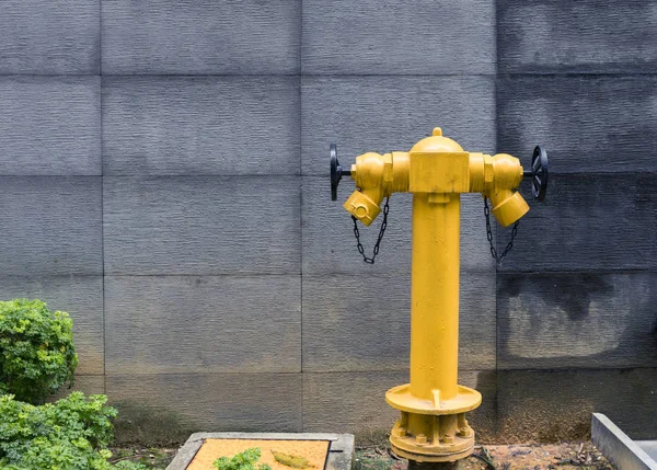 Požární hydrant na ulici — Stock fotografie