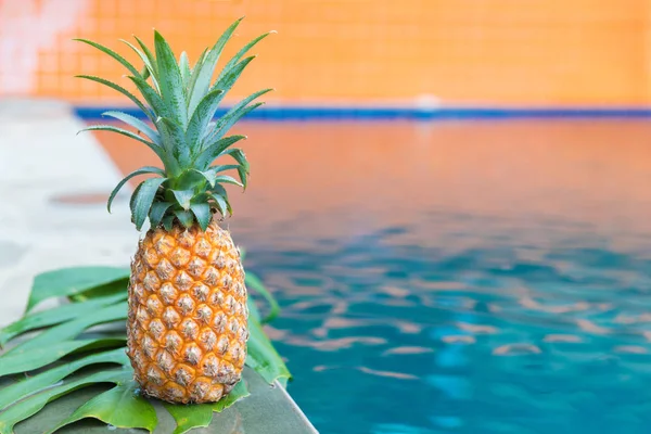Taze sarı ananas tropik meyve yaz ferahlık havuzu yakınlarında — Stok fotoğraf
